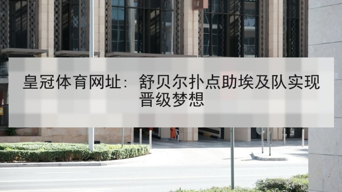 皇冠体育网址: 舒贝尔扑点助埃及队实现晋级梦想 皇冠体育网址: 舒贝尔扑点助埃及队实现晋级梦想