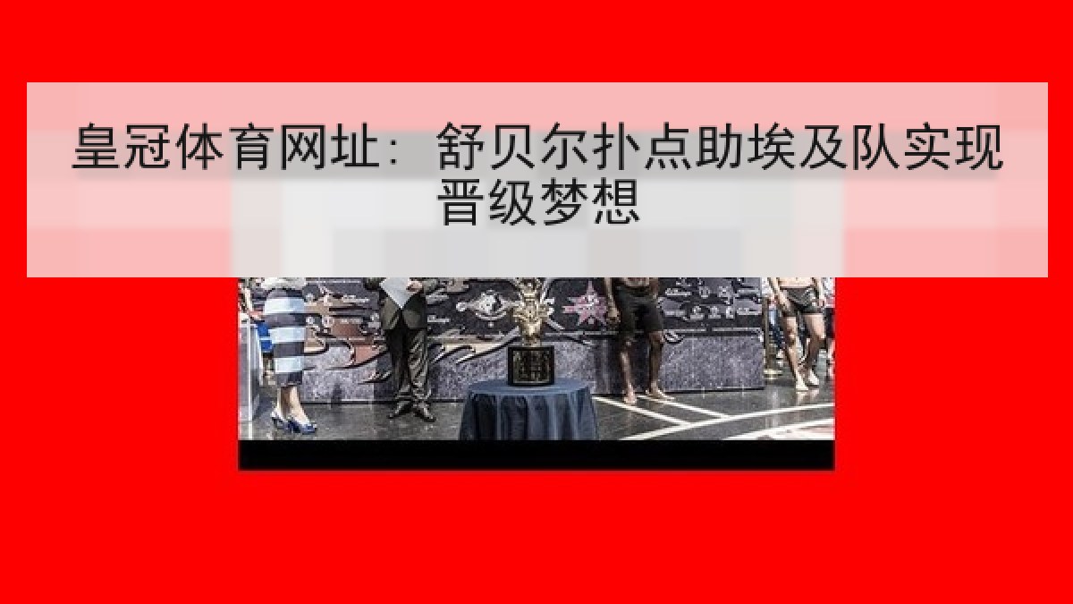 皇冠体育网址: 舒贝尔扑点助埃及队实现晋级梦想